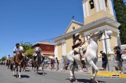 Desfile Caballos 029